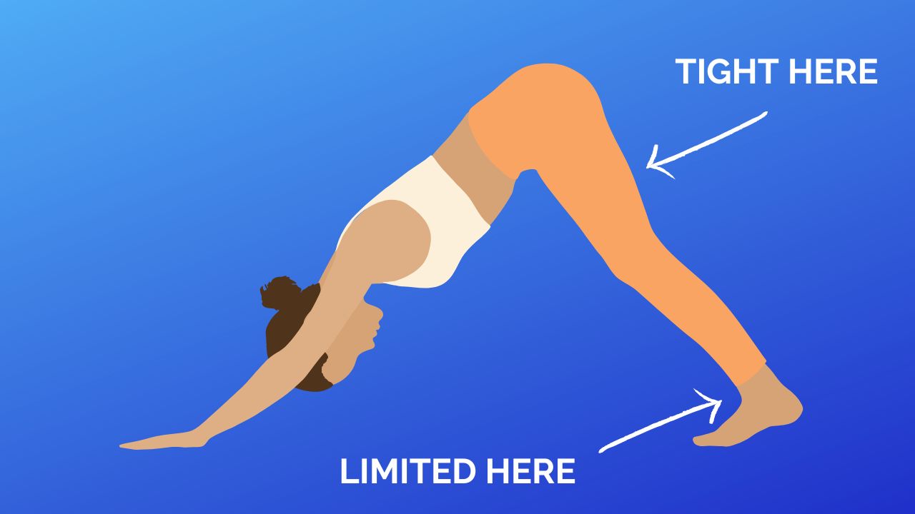 Downward dog pose
